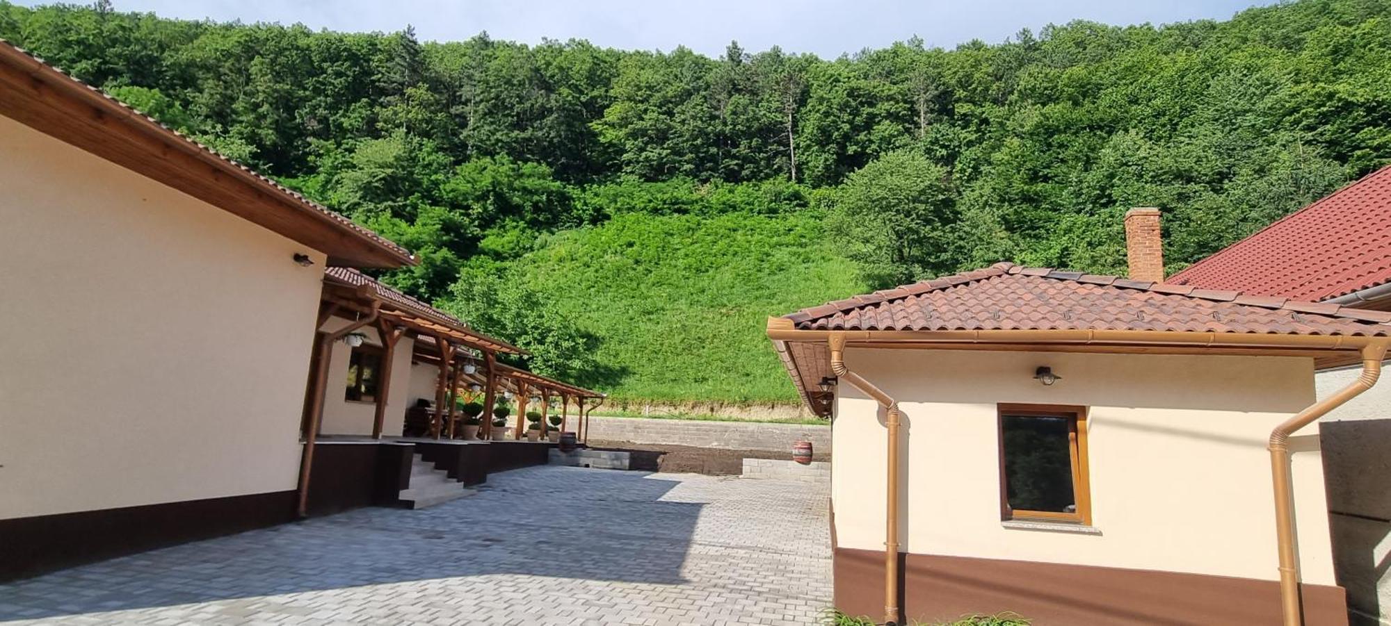 Hos Vendeghaz Miskolc -Oenallo Vendeghaz, Mely Csak Az Oenoeke Exterior foto